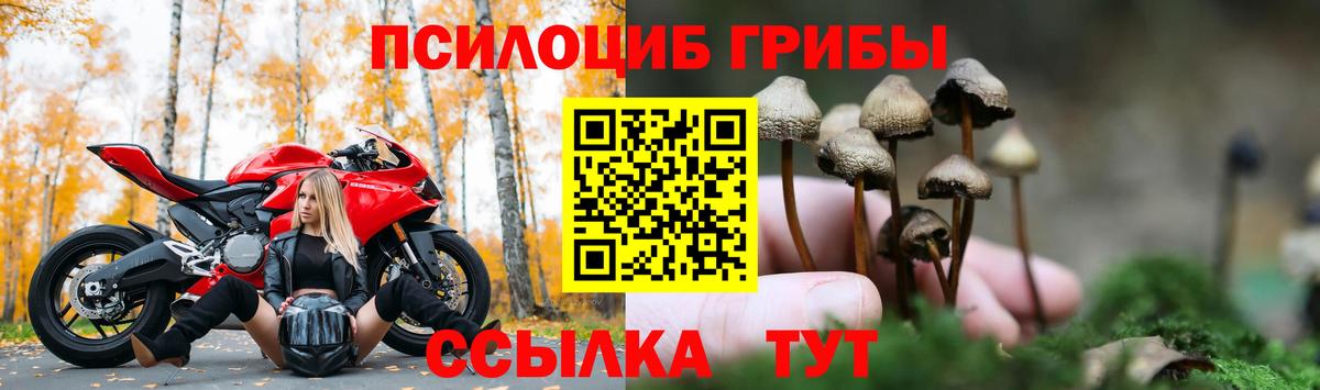 как найти закладки  Вход с VPN  Карталы  Псилоцибиновые грибы ЛСД 